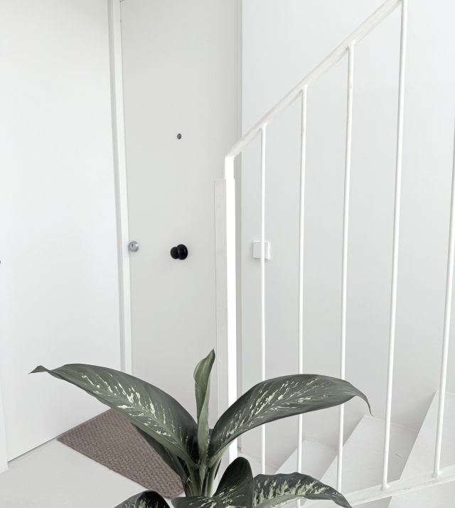 Resa Estates Ibiza longterm rent Talamanca penthouse entrance.jpeg